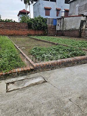 CHÍNH CHỦ BÁN ĐẤT SẴN SỔ GIÁ *** NGAY CẠNH KĐT LIÊN HÀ VINHOMES - Ảnh 3