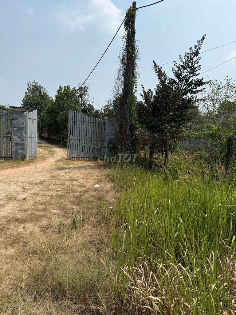 cần bán mảnh vườn 867,5m2 nở hậu - Ảnh 2