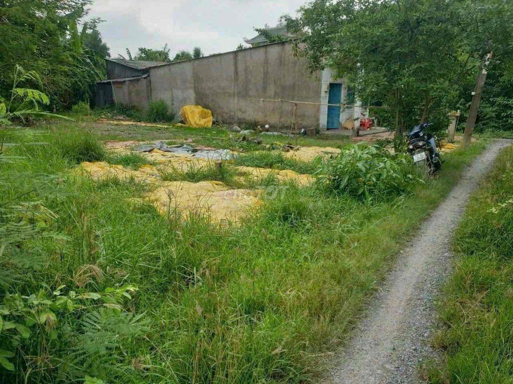 190m2 đất vườn được chuyển thổ cư xã Hưng Long Bình Chánh - Ảnh 2