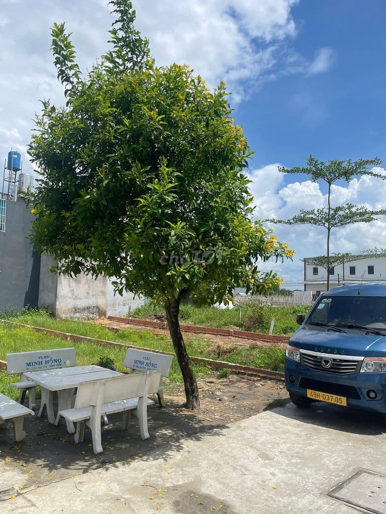 BÁN GẤP LÔ ĐẤT CHỢ NHỊ XUÂN, HÓC MÔN 445TR 80M2 - Ảnh 2