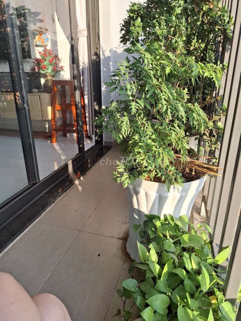 CHÍNH CHỦ BÁN GẤP CĂN 3PN SAFIRA Q9 - Ảnh 2