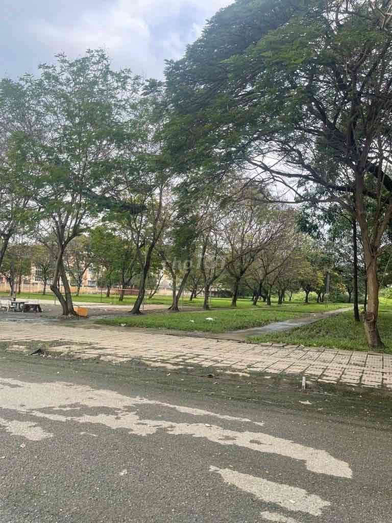 Đất 200m2 khu dân cư đại phúc đường Phạm Hùng nối dài - Ảnh 3