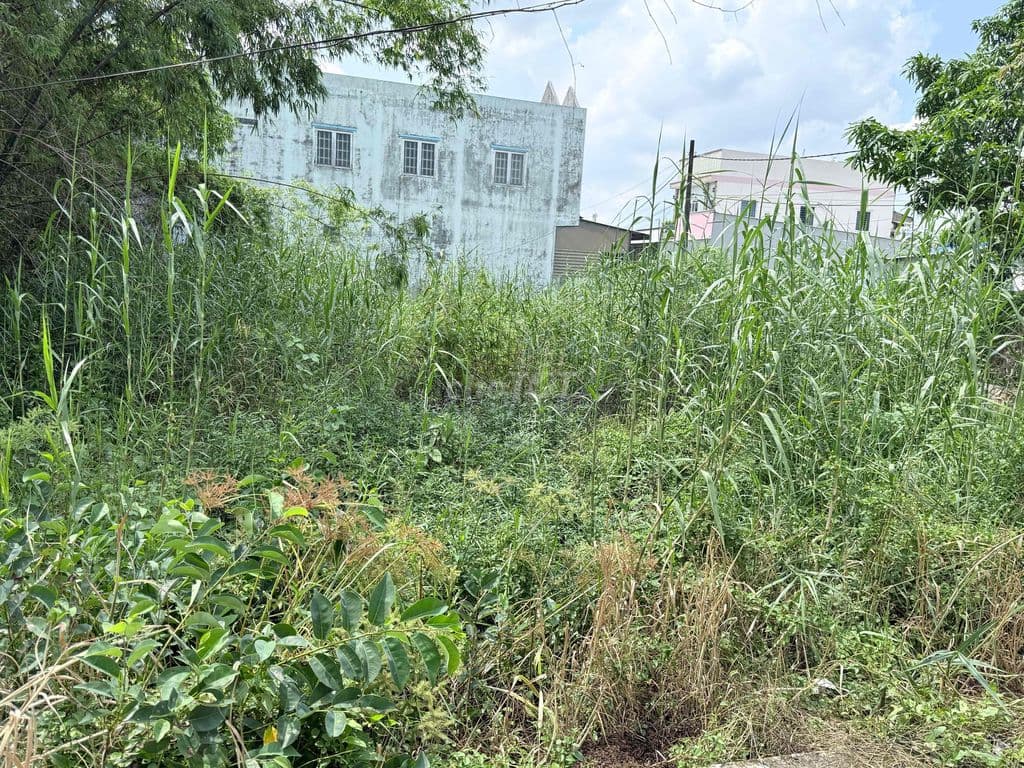 Đất xã Bình Chánh Gần vòng xoay Nguyễn Văn Linh - Ảnh 3