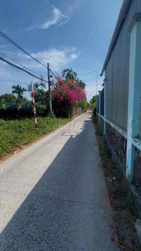 310m2 có 178m2 thổ cư đường xe tải gần chợ Bình Chánh - Ảnh 3