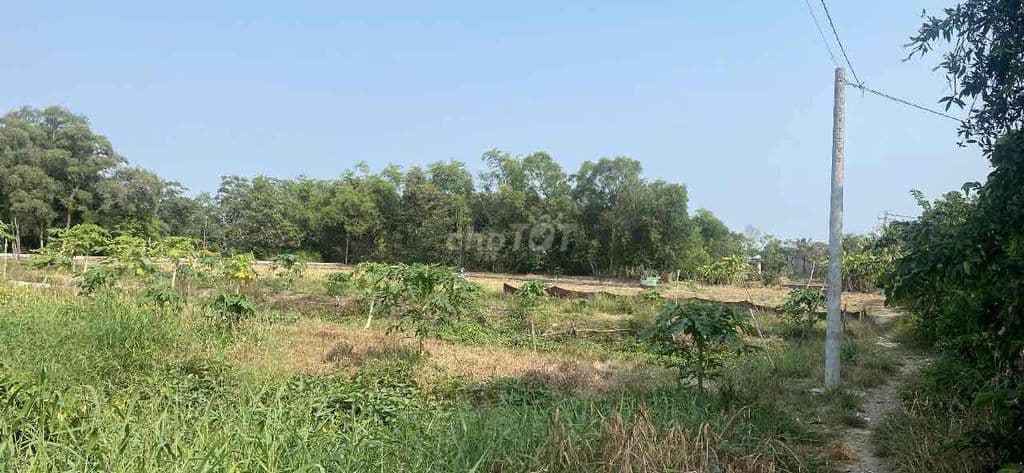 Bán đất 3444m2 QH Làng Đại Học Hưng Long giá 2.5tr/m2 - Ảnh 3