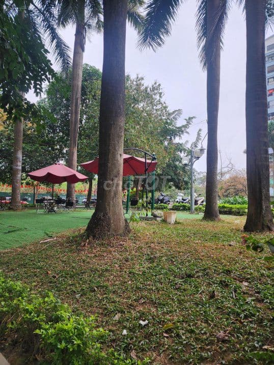 Biệt thự lô góc tại Resco Cổ Nhuế, 236 m2 - Ảnh 2