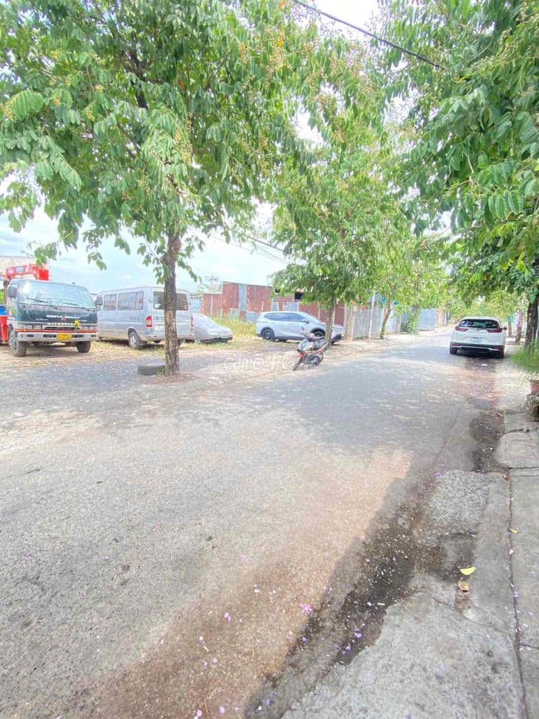 18x16 Đong Thanh 5 - Ảnh 3