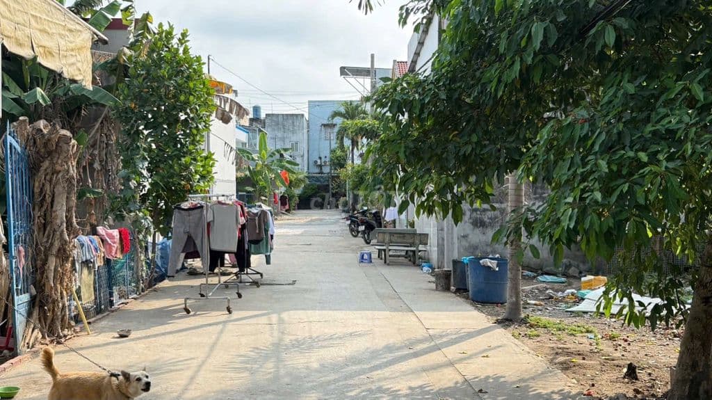 2 NỀN ĐẤT MT HẺM 1286 NGUYỄN DUY TRINH - Ảnh 2