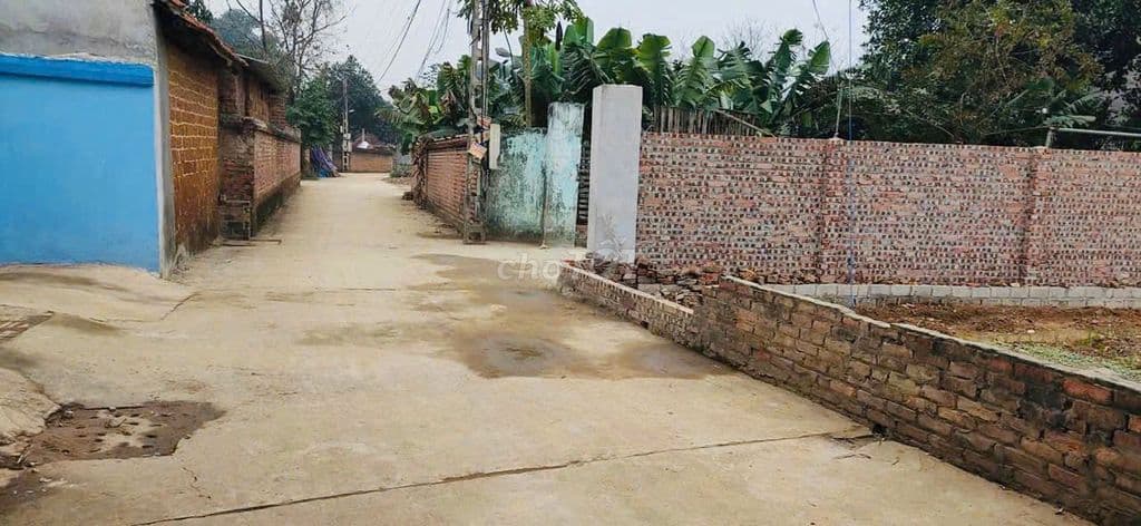 BÁN 100M² FULL THỔ CƯ TẠI PHÚ CÁT – GẦN NHÀ MÁY IN TIỀN - Ảnh 2