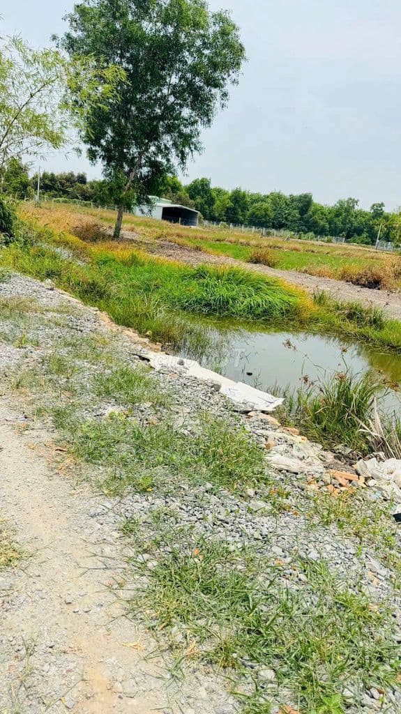 TP. HỒ CHÍ MINH: 17X46m tổng 774m2 tại Phú An: Chốt 390 triệu cả lô! - Ảnh 3