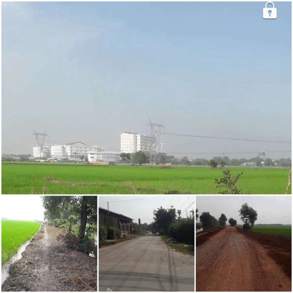 ĐẤT DIỆN TÍCH LỚN NGAY PHÍA SAU BV XUYÊN Á - Ảnh 3