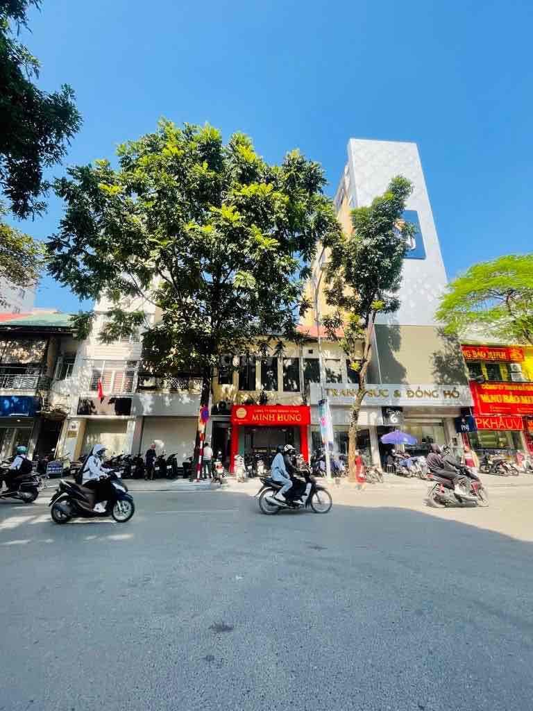 6,5 TỶ PHỐ KIM HOA 5TẦNG -SÁT CÔNG VIÊN THỐNG NHẤT -NGÕ THÔNG-ÔTÔ 10M - Ảnh 2