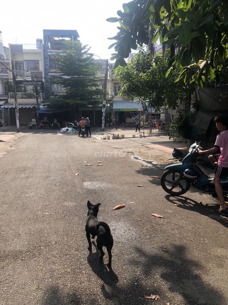 Chính Chủ Cần tiền bán gấp lô đất mặt tiền số 9, Đường 47, P. Tân Tạo, - Ảnh 2