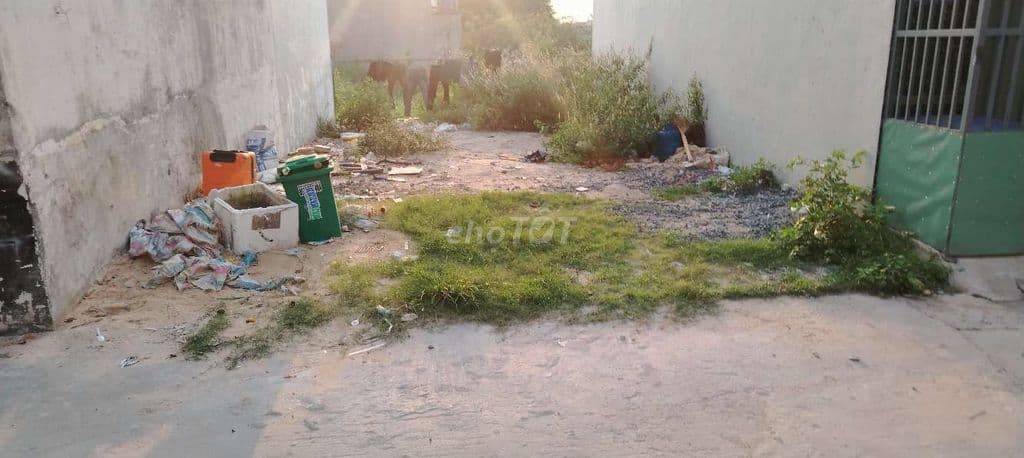 CHỦ GẤP BÁN LÔ ĐẤT ĐẸP NGANG 5 X 11 - GIÁ 3.3TỶ ĐƯỜNG 5M XE HƠI TRÁNH