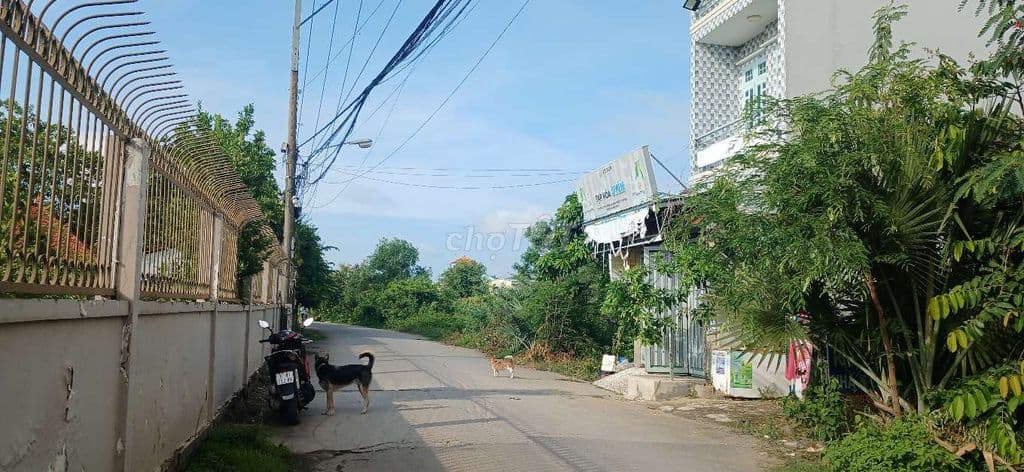 Đất 77m2 Mặt tiền đường 8 Long Phước. Quận 9