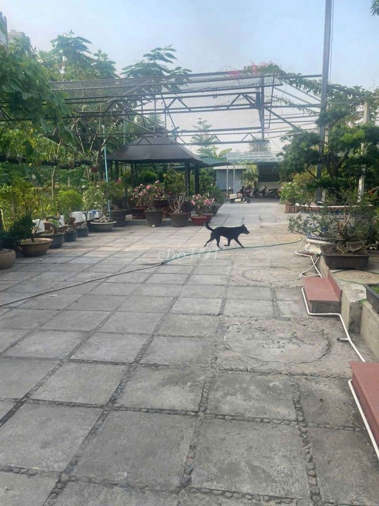 BÁN ĐẤT ĐƯỜNG NGUYỄN HỮU THỌ Q7