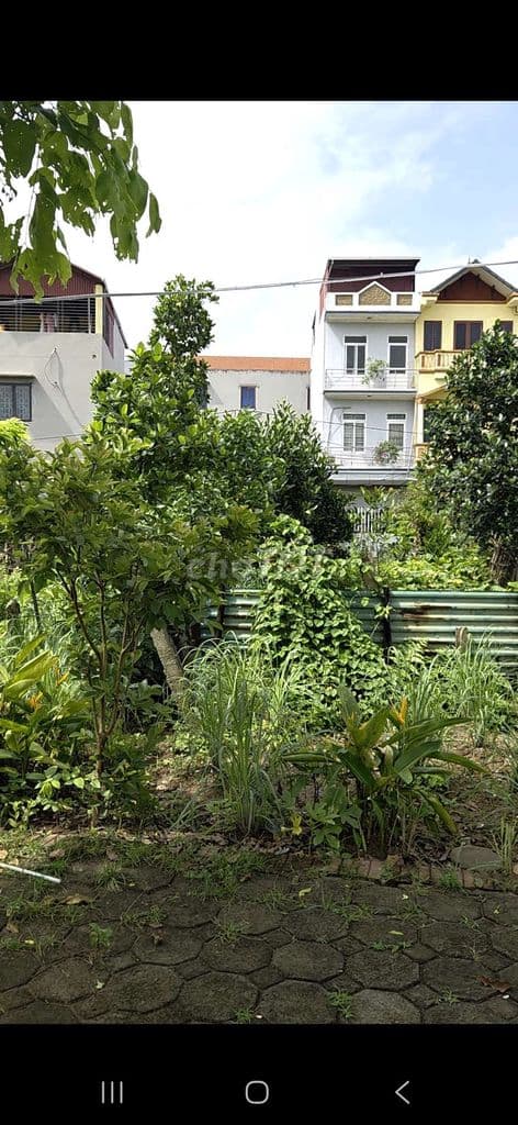 ***RẺ GIẬT MÌNH*** Giá 7,05tỷ lô LK9-4 khu 3 dịch vụ Đồng Mai - Ảnh 3