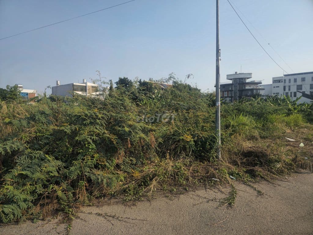 🔥 MT KDC Tăng Long Q9 – 500m² FULL THỔ CƯ – CHÍNH CHỦ 21.5 TỶ) - Ảnh 3