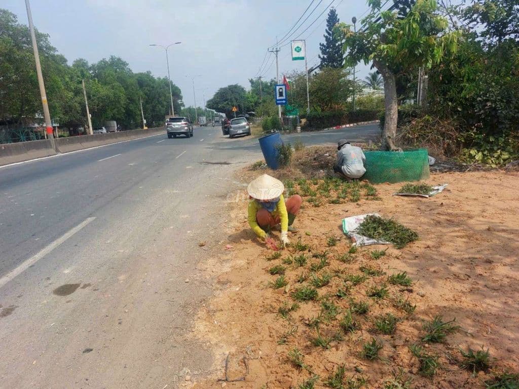 Bán nhà cũ mặt tiền QL22 Củ Chi