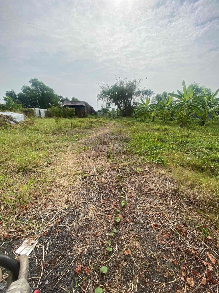 Bán đất dân cư 1644m2 xã Bình Chánh giá 12ti - Ảnh 3