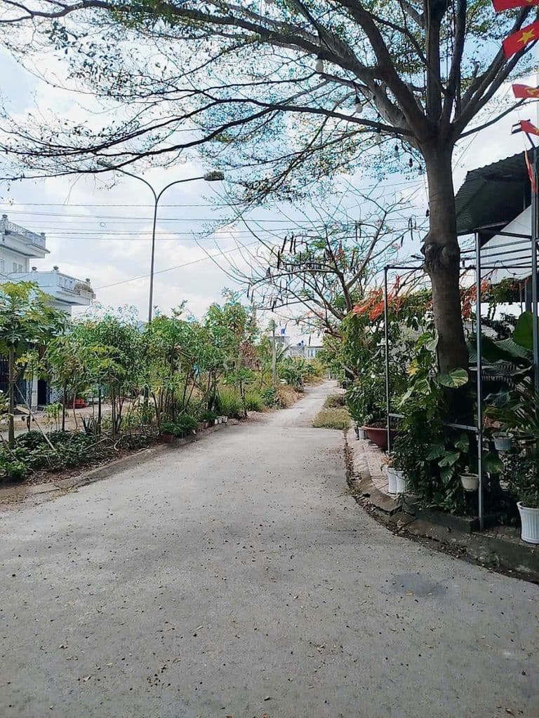 🔥 ĐẤT 4x16 ĐINH ĐỨC THIỆN – SỔ RIÊNG – GIÁ TỐT ĐẦU TƯ - Ảnh 3