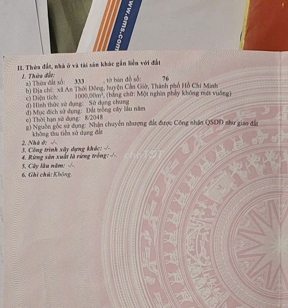 Đất trồng cây, khu vực dân cư đường số 3, An Thới Đông - Ảnh 2