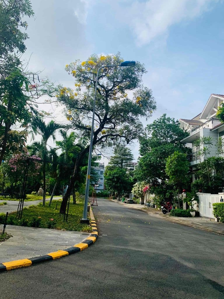 Lô đất 200m2/17 tỷ, Đất thuộc KDC Gia Hòa, Phước Long B, TP Thủ Đức - Ảnh 3