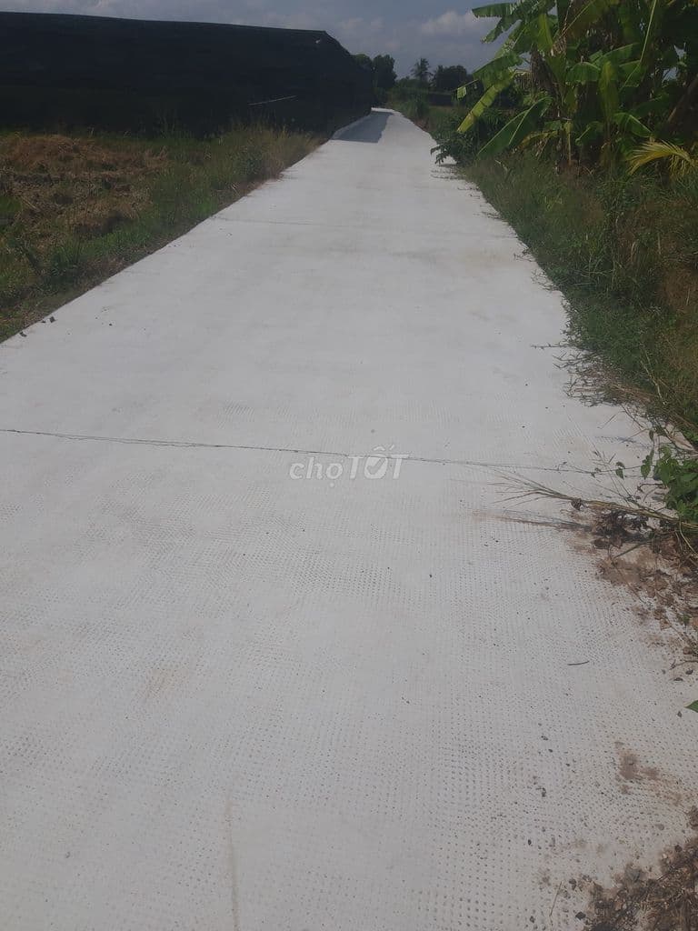 2.000m đất vườn 3 mặt tiền giá rẻ bất ngờ