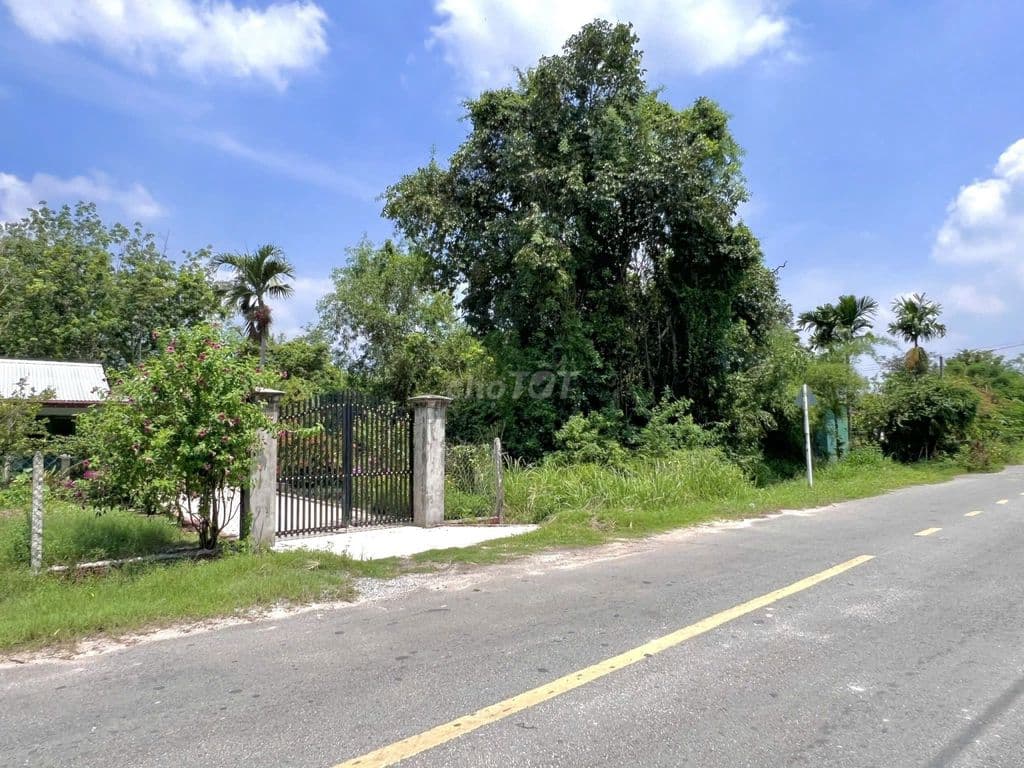 Bán lô đất Mặt tiền đường Cây Gõ, 313m2, full thổ cư, xã An Nhơn Tây. - Ảnh 3