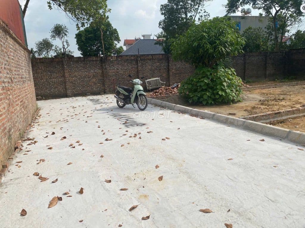 Bán đất tại Đan Tảo, xã Tân Minh, Sóc Sơn, TP Hà Nội - Ảnh 3