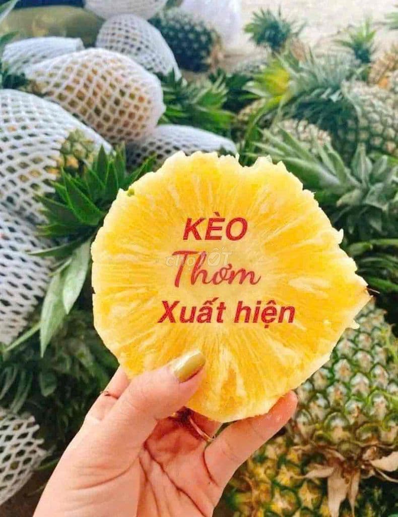 Nhà 100m2 cấp 4 mặt tiền hẻm Bông Sao p5 Q8