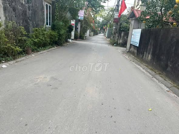 Bán gấp đất Yên Thường 50 m chỉ 4 tỷ ngõ oto tránh MT 5 m - Ảnh 2