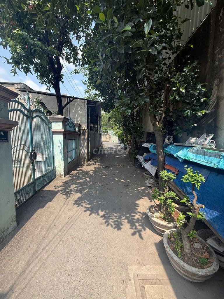 Cần bán gấp đất thổ cư 100% Q9 P.Long Trường Cách Nguyễn Duy Trinh 50m - Ảnh 3