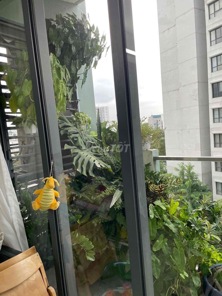 Bán căn hộ chung cư Emerald Celadon City - Ảnh 3