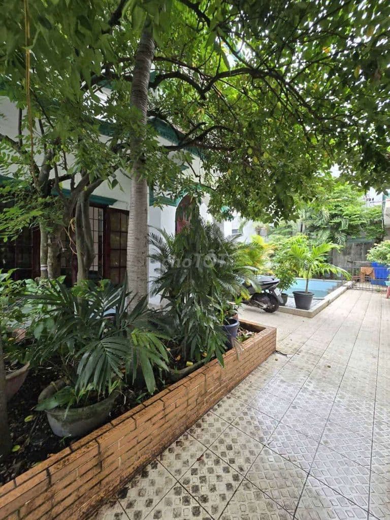Biệt Thự vườn hô bơi 1037m2 Thổ cư Nguyễn Văn Quá - Ảnh 3