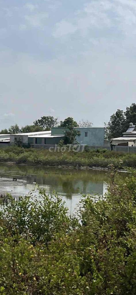 Bán Đất Lớn 30.304m2 đường Giồng Ao TT Cần Thạnh, Cần Giờ - Ảnh 3