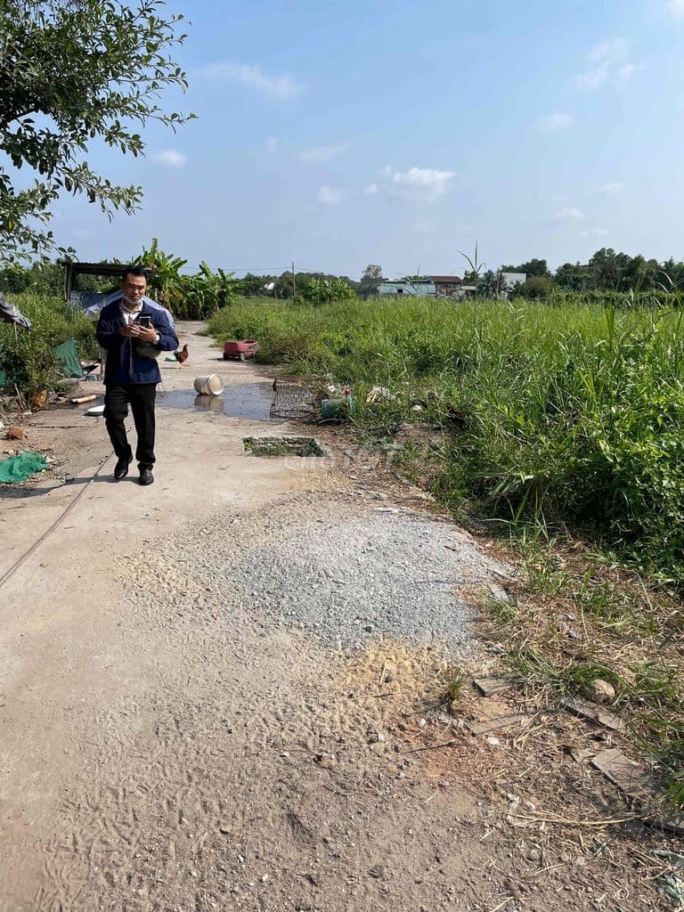 BÁN ĐẤT HAI MẶT TIỀN THỔ CƯ BÌNH MỸ - Ảnh 2