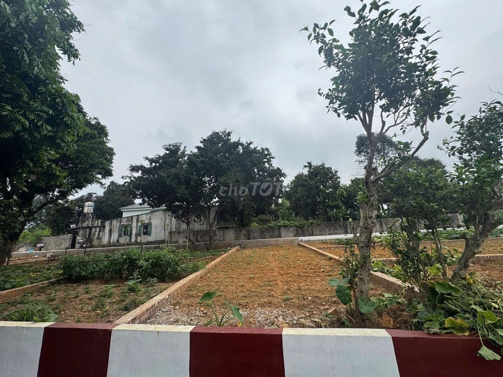 Cần bán gấp mảnh đất ở đô thị, sổ đỏ Hà Nội, gần 3 trường Đại học lớn - Ảnh 2