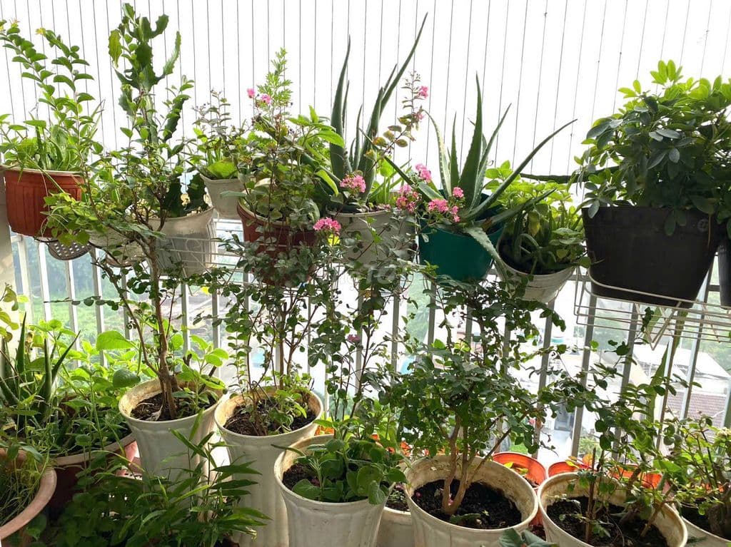 chính chủ bán căn hộ thủ thiêm star quận 2 - Ảnh 2