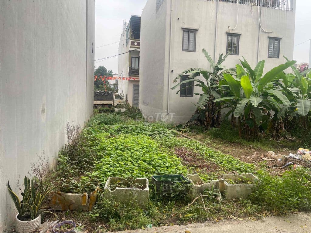 CC bán 65m ô tô tránh đường thông giá 3.5 tỷ