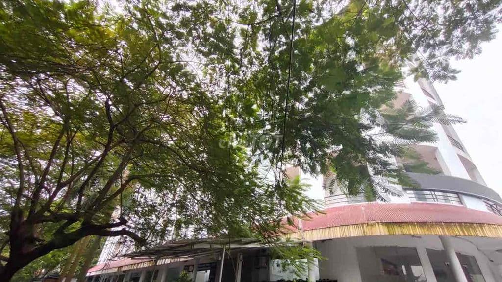 3882M x 7 TẦNG, MT 90M - 80 TỶ - QUẬN LONG BIÊN, SỔ RIÊNG - Ảnh 3