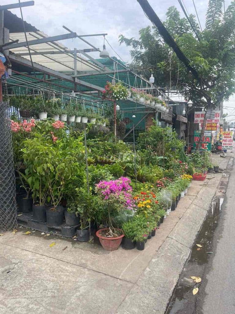 Đất thổ cư mặt tiền đường 932 Hương Lộ 2 Bình Tân - Ảnh 3