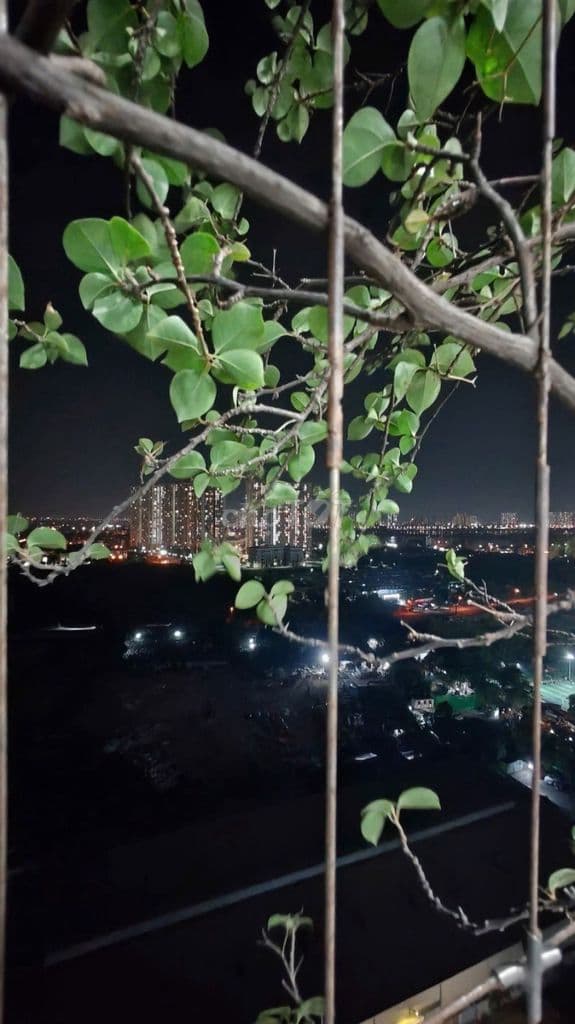 bán chung cư Đồng Phát phố Tân Mai căn góc, 3 ngủ, 6 tỷ - Ảnh 3