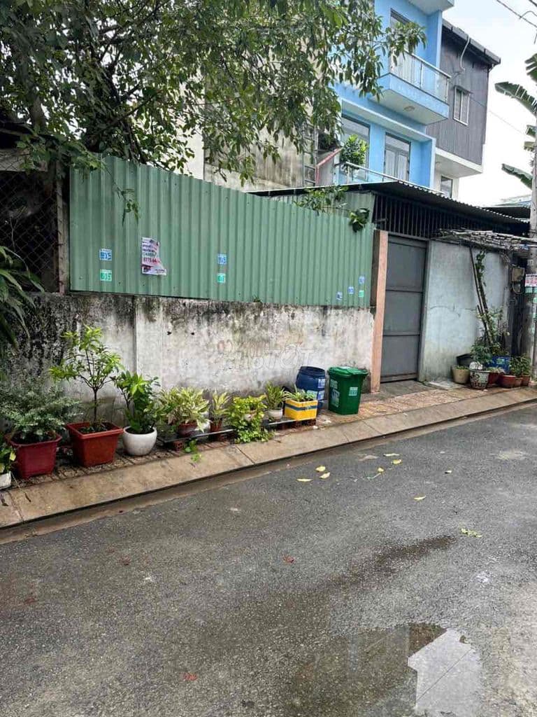 🏡 BÁN ĐẤT 2 MẶT TIỀN – P. TAM BÌNH, THỦ ĐỨC - Ảnh 3