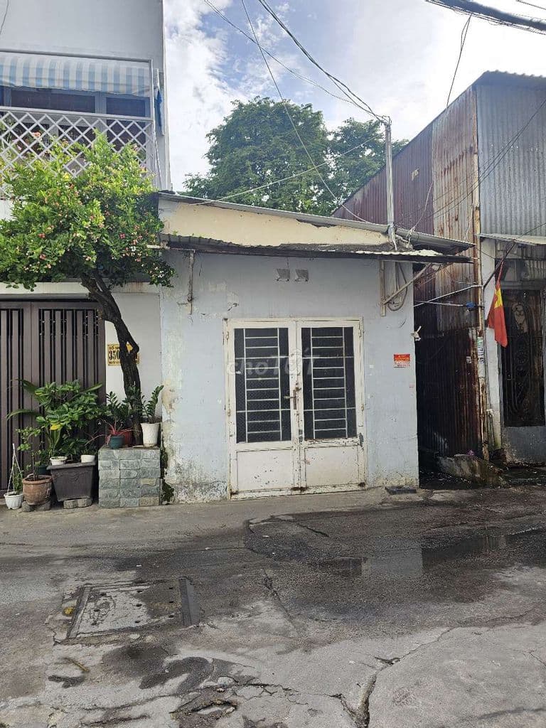 Dãy nhà 4pn trọ đang cho thuê