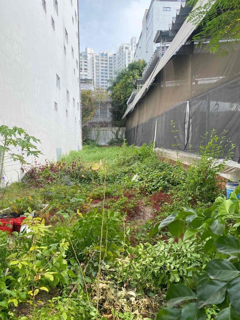 BÁN ĐẤT SỔ HỒNG CHÍNH CHỦ KHU B LÀNG ĐẠI HỌC PHỨƠC KIỂN - NHÀ BÈ - Ảnh 2