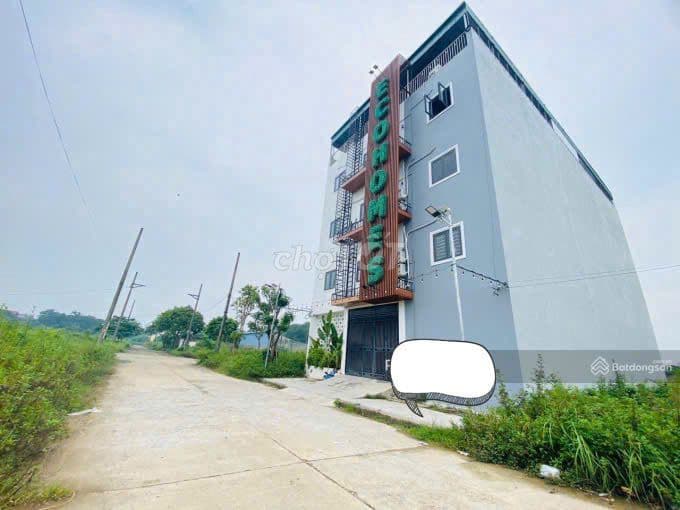 Chính chủ cần bán nhanh đất phân lô Bình Yên, Hòa Lạc - Ảnh 3