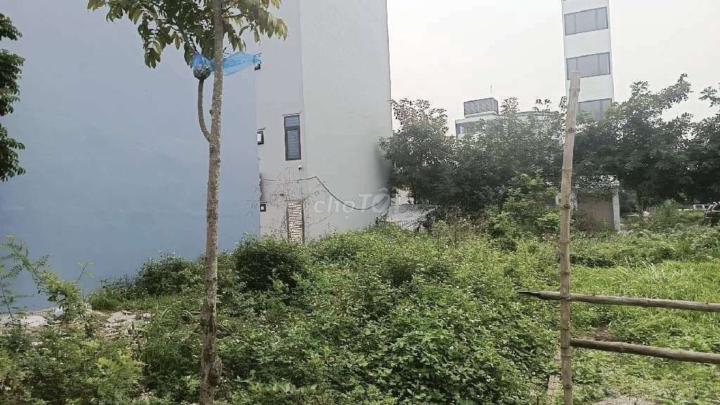 Em Sáng bán mảnh đất Thúy Lĩnh Lĩnh Nam hơn 30m,chỉ 3,6 tỷ ,sổ đỏ - Ảnh 2