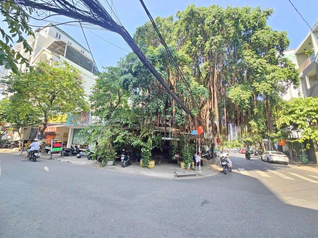 Giá Siêu Tốt 160 triệu / m² Mặt Tiền đường số Tân Quy Quận 7 - Ảnh 2