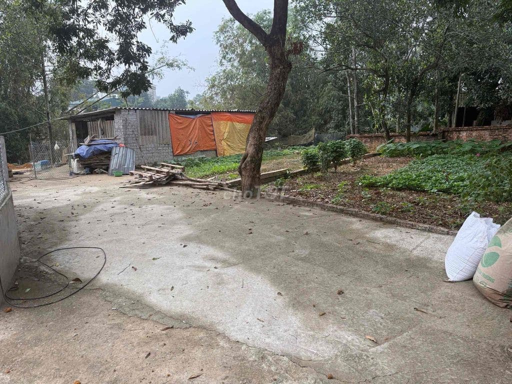 100m thổ cư tại Xã Thạch Thất, HN tôi cần bán gấp giá chỉ hơn 1 tỷ - Ảnh 2